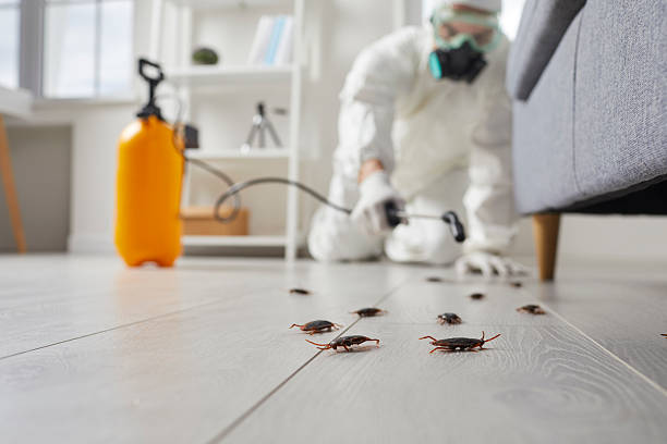 Affordable Cockroach Control solutions in Capitol View, SC